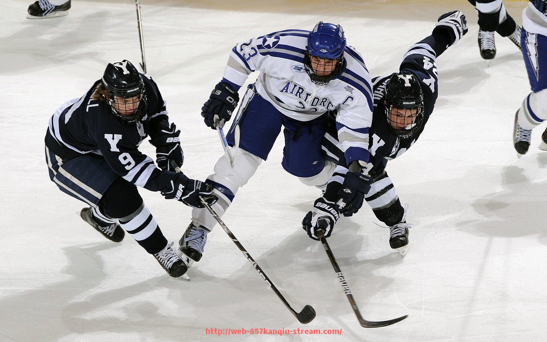 857直播看球平台-北京购买健身器材的途径与商家推荐
